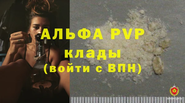 гашик Богородск