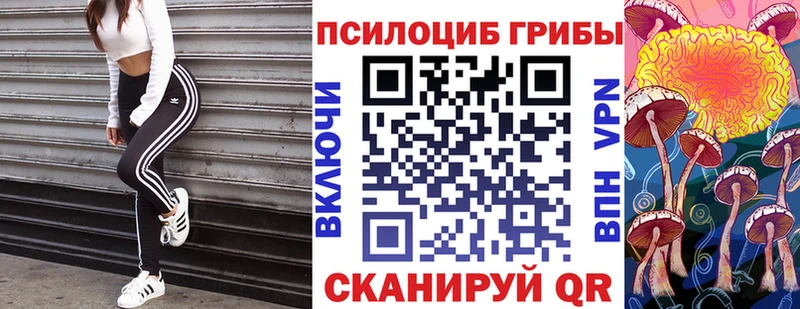 Купить  Зеленодольск  Галлюциногенные грибы Psilocybe 